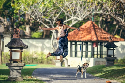 The Importance of Regular Exercise for Dogs