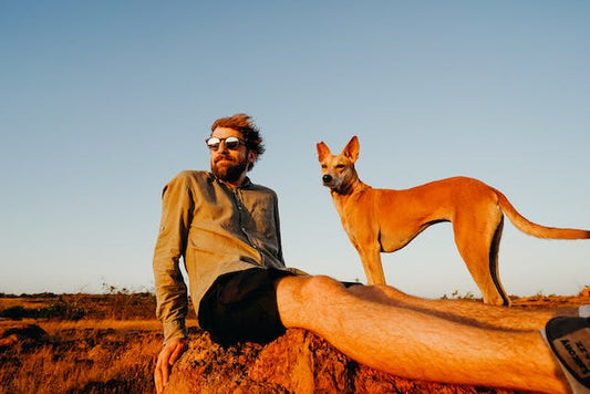 Traveling with Your Dog: Tips for a Safe Trip