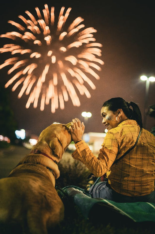 New Year, New Tricks: A Guide to a Pawsitively Happy 2024 for Your Furry Friend